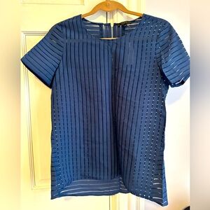 Elegant Blue Sheer Striped Women's Top